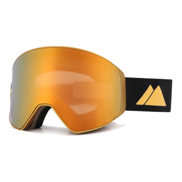 gouden skibril